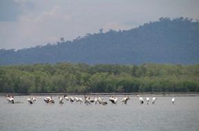 Ream National Park